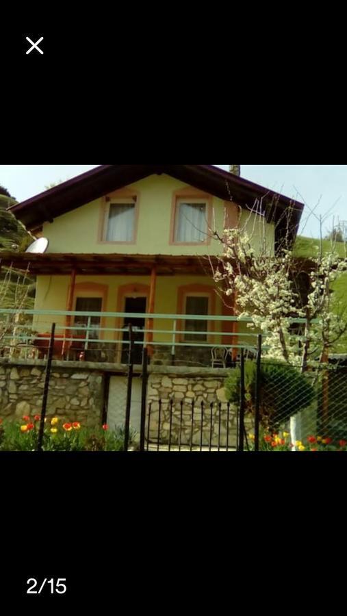 Villa Vrben Exterior photo