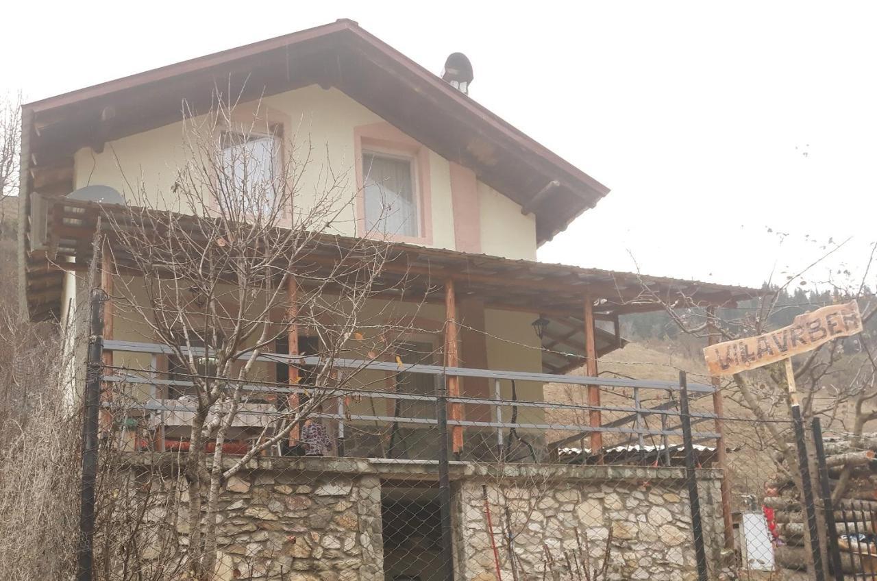 Villa Vrben Exterior photo