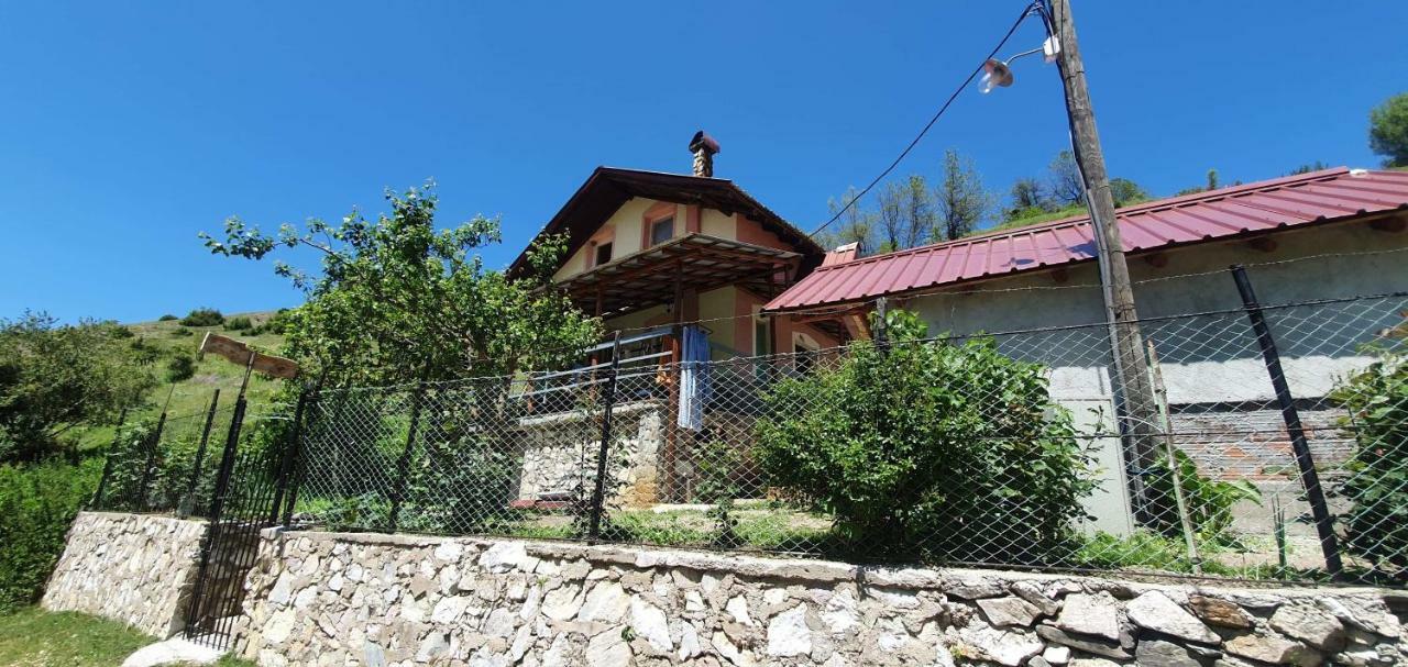 Villa Vrben Exterior photo