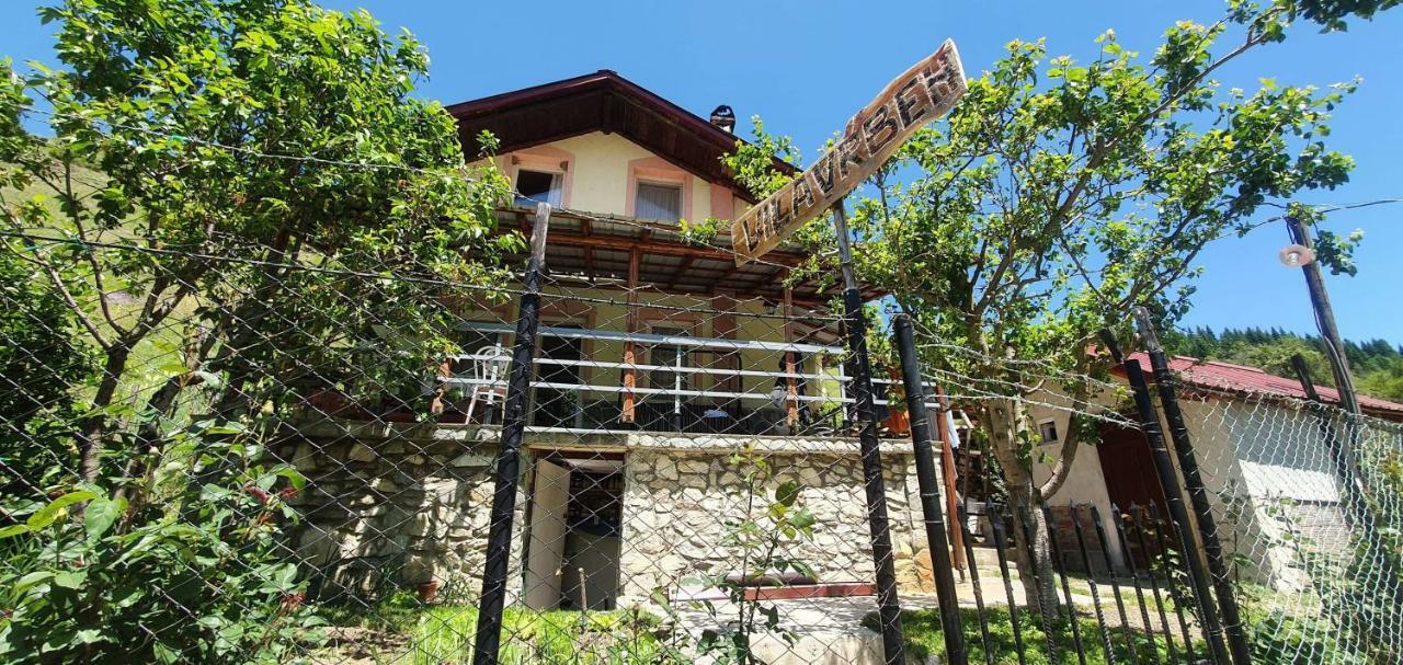 Villa Vrben Exterior photo